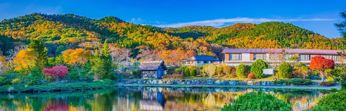 Kamakura: un viaggio nel cuore della cultura giapponese